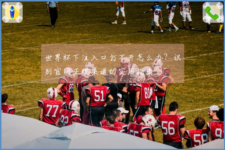 世界杯下注入口打不开怎么办？识别官网正规渠道的实用指南