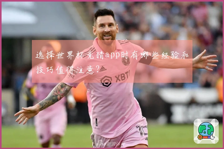 选择世界杯竞猜app时有哪些经验和技巧值得注意？