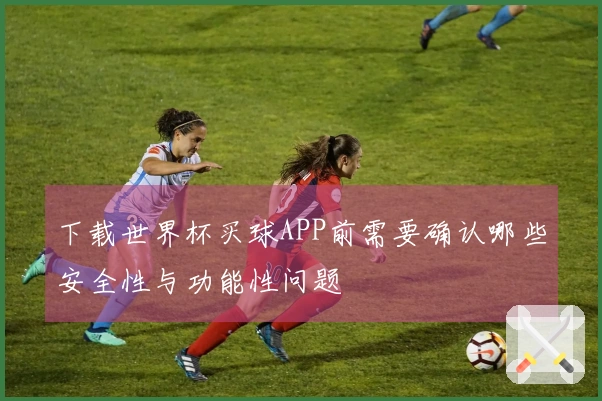下载世界杯买球APP前需要确认哪些安全性与功能性问题