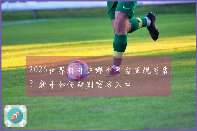 2026世界杯开户哪个平台正规可靠？新手如何辨别官方入口