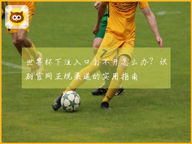 世界杯下注入口打不开怎么办？识别官网正规渠道的实用指南
