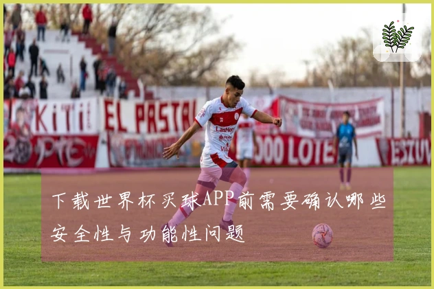 下载世界杯买球APP前需要确认哪些安全性与功能性问题
